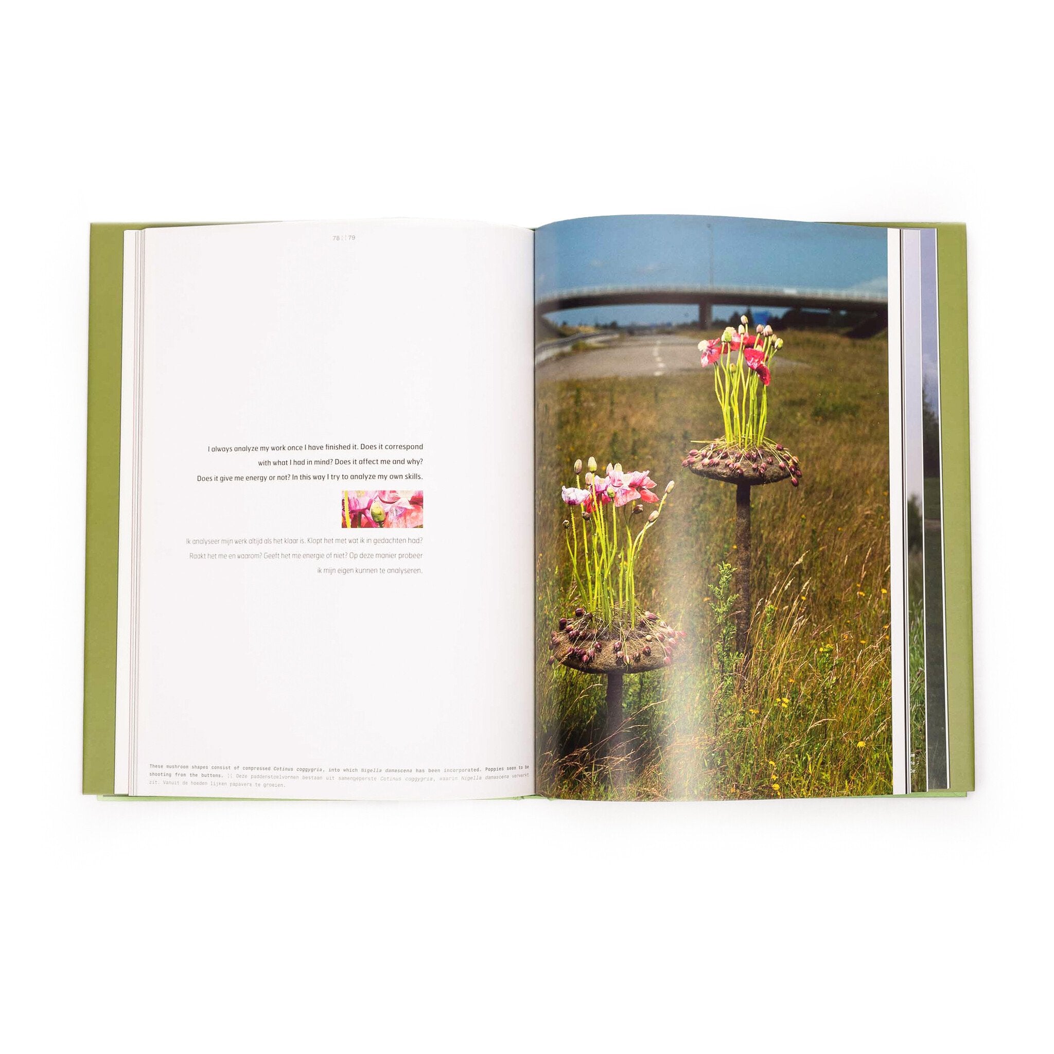 Set van drie kunstboeken-zoom-9