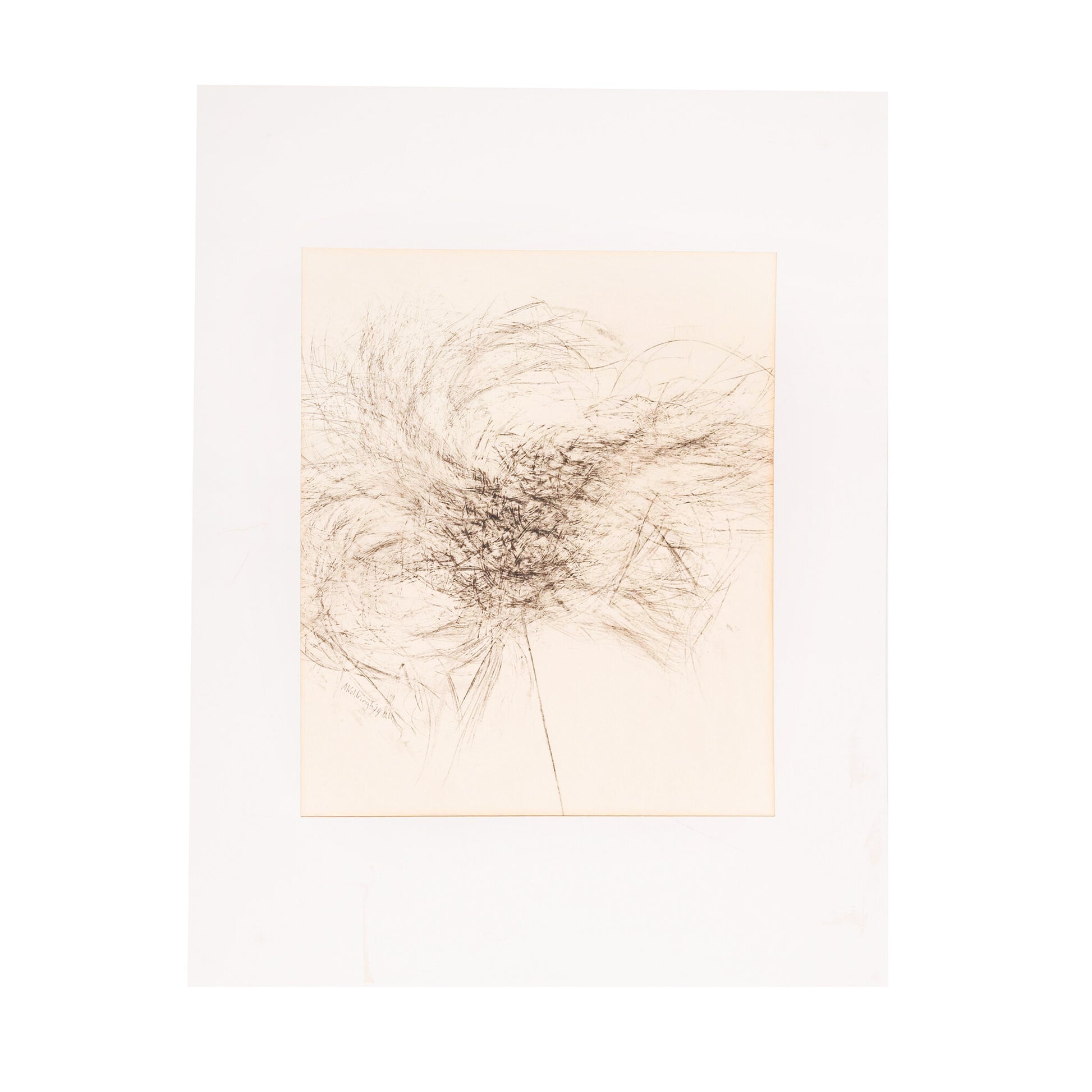 Ans Woldringh, 'De Anjer'; 1974-1