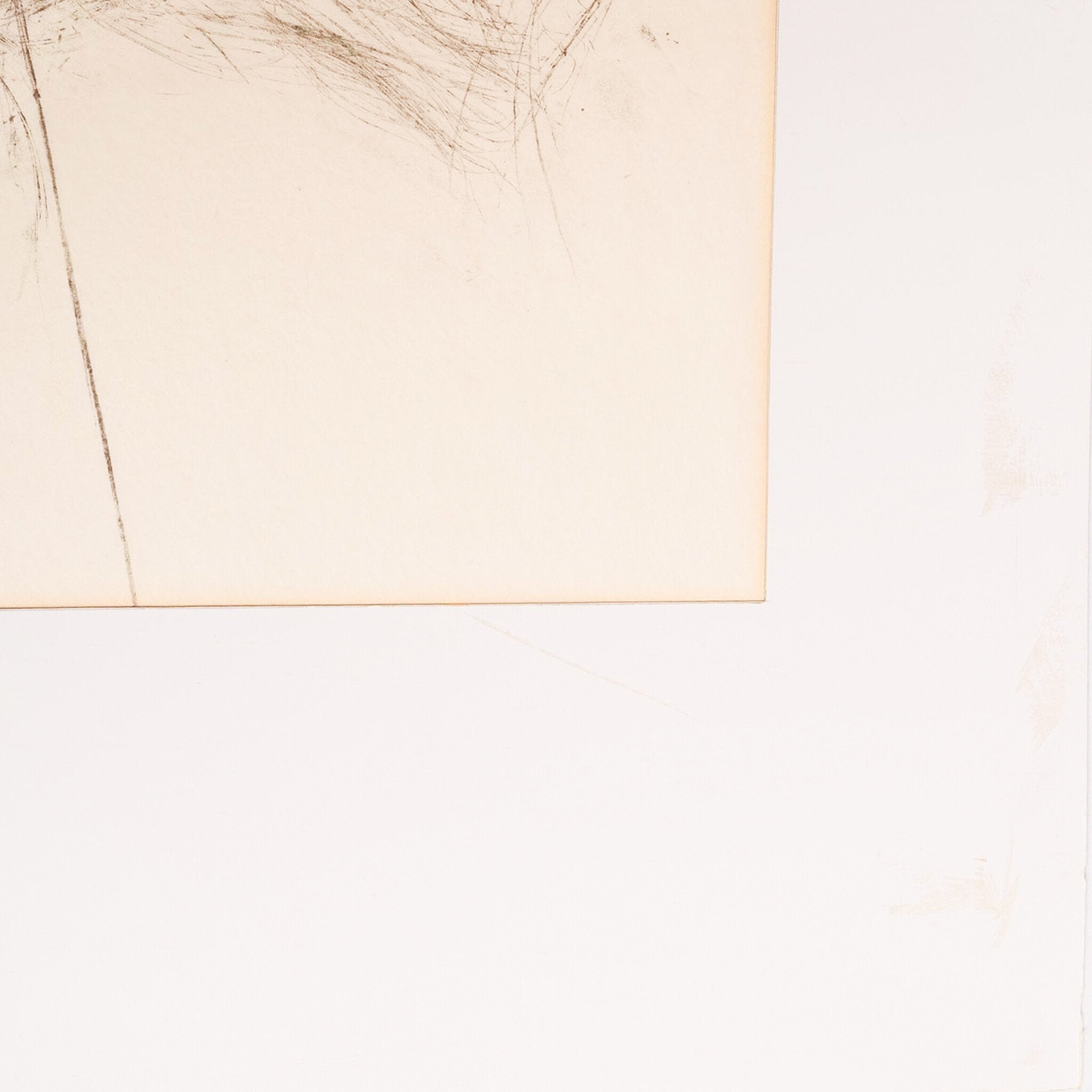 Ans Woldringh, 'De Anjer'; 1974-zoom-2