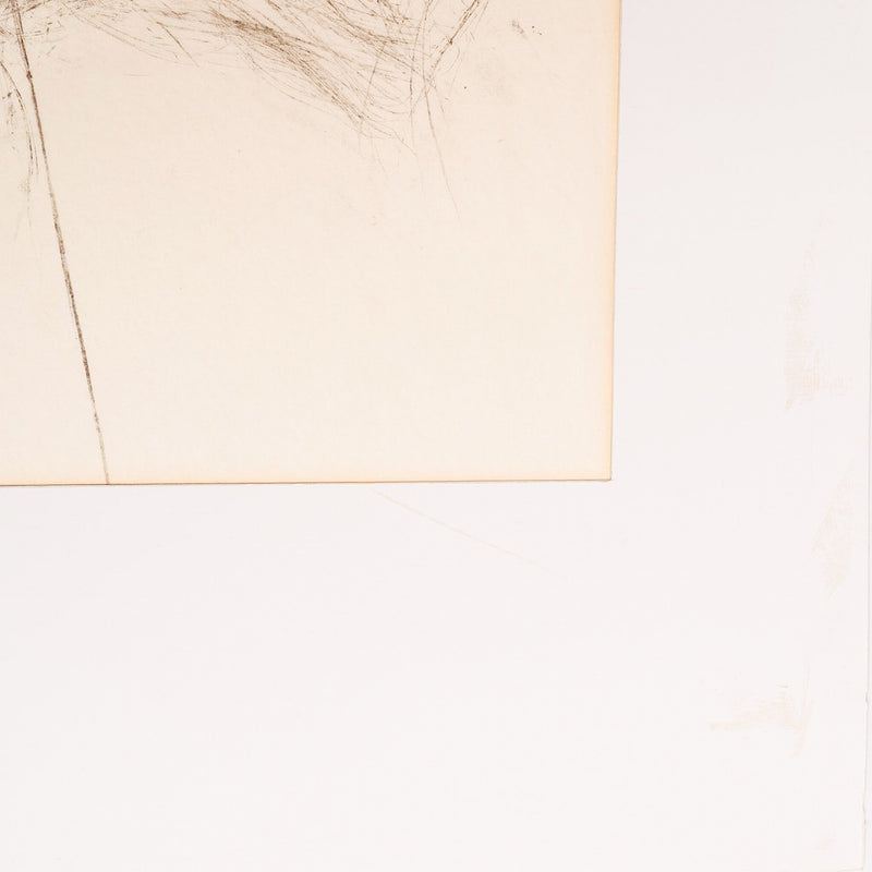 Ans Woldringh, 'De Anjer'; 1974-zoom-