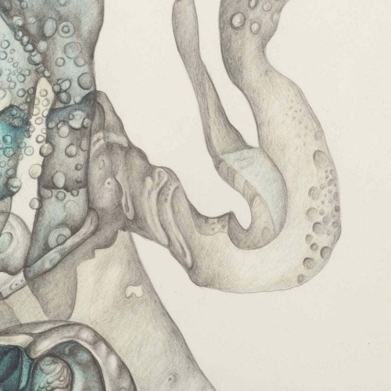 Ab Steenvoorden, 'Stilleven', 1980-zoom-