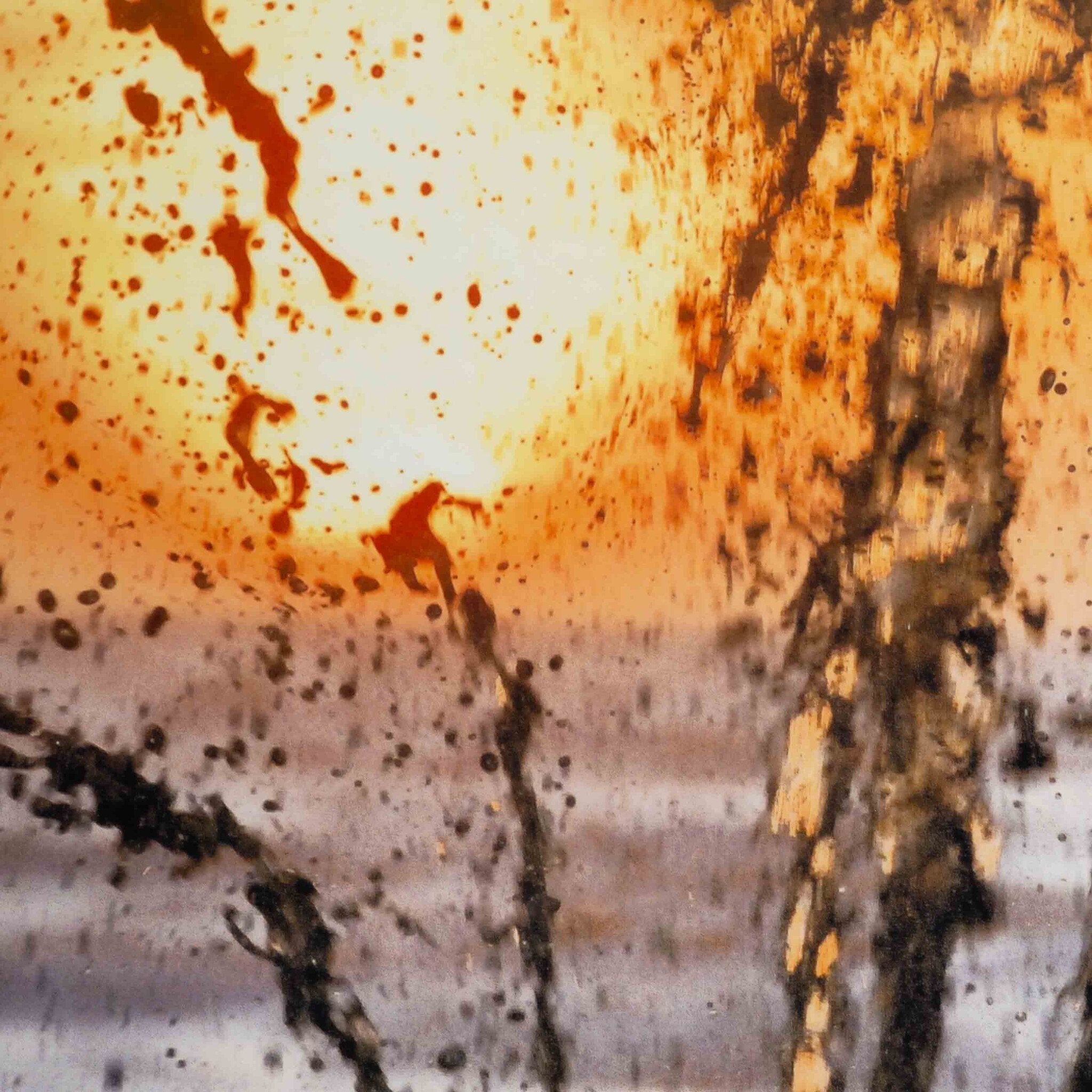 Els Bax, 'Kustversterking Noordwijk 2007-2008', 2008-zoom-2