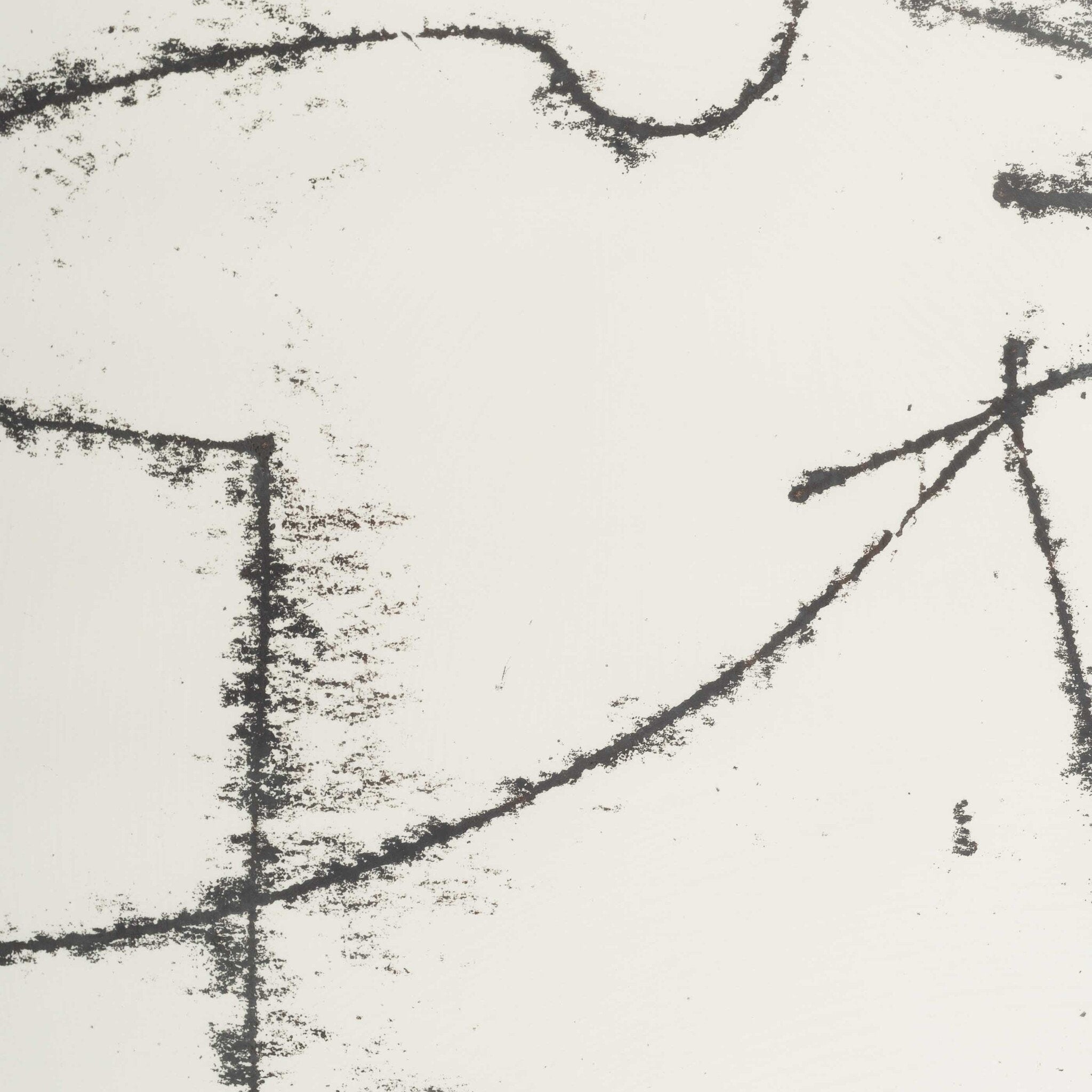 Gardien de Groot, 81-8-5-2, 1980-zoom-3