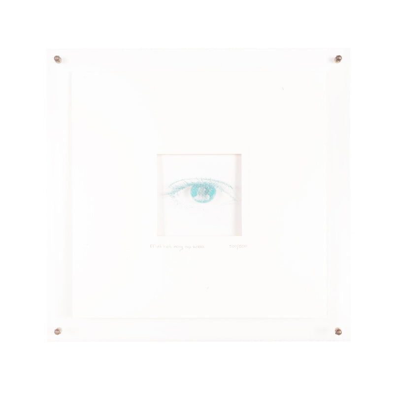 Chaja', 1996 en 'Met het oog op 2000', 1999-zoom-