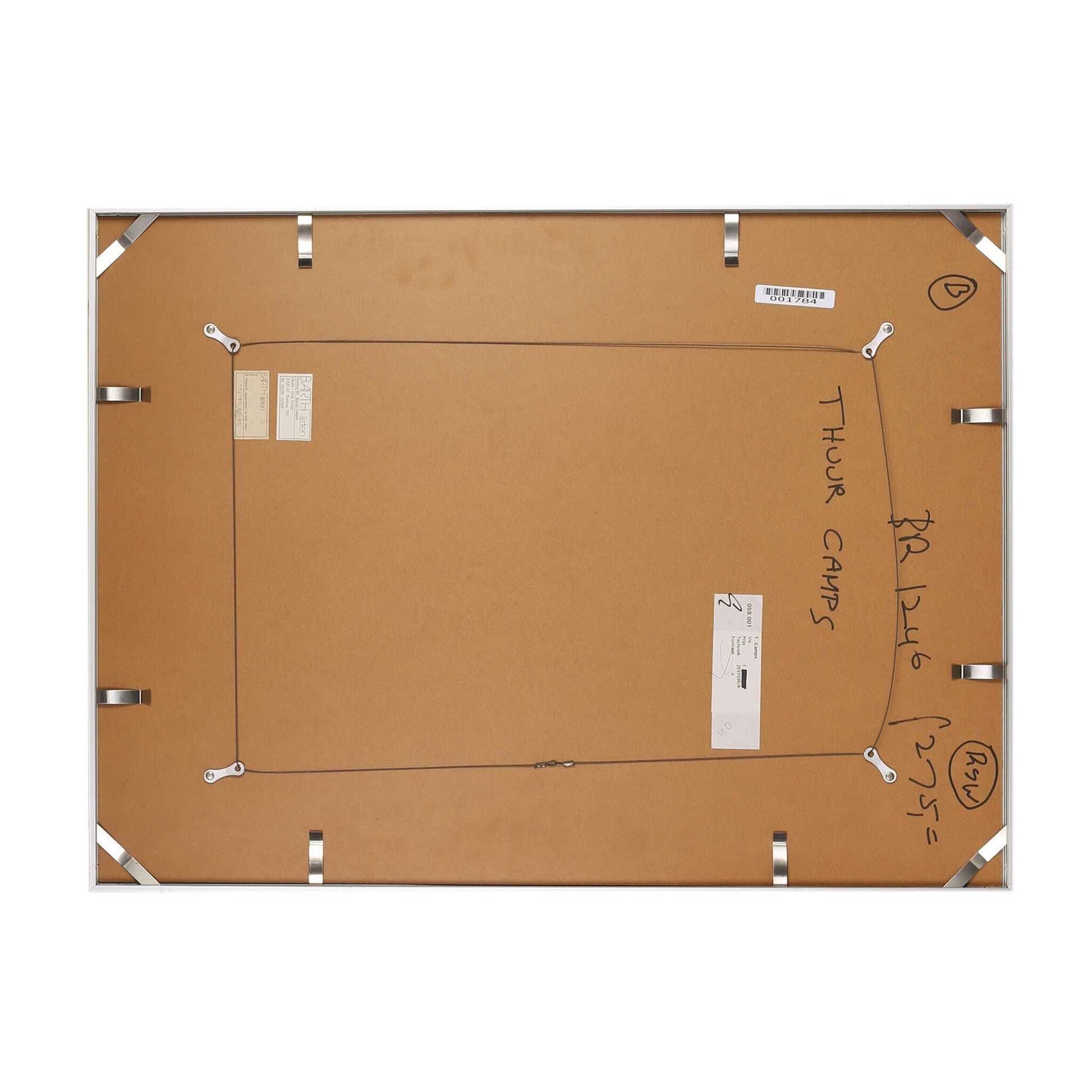 Thuur Camps, 'Vis'-4