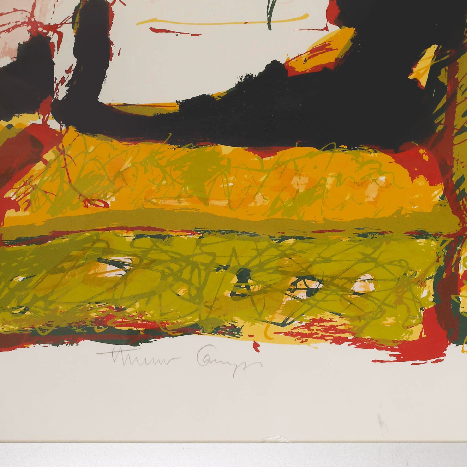 Thuur Camps, 'Vis'-2