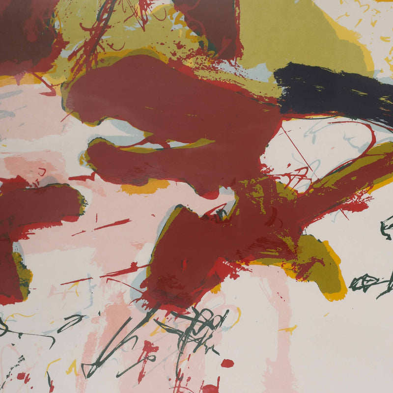 Thuur Camps, 'Vis'-zoom-