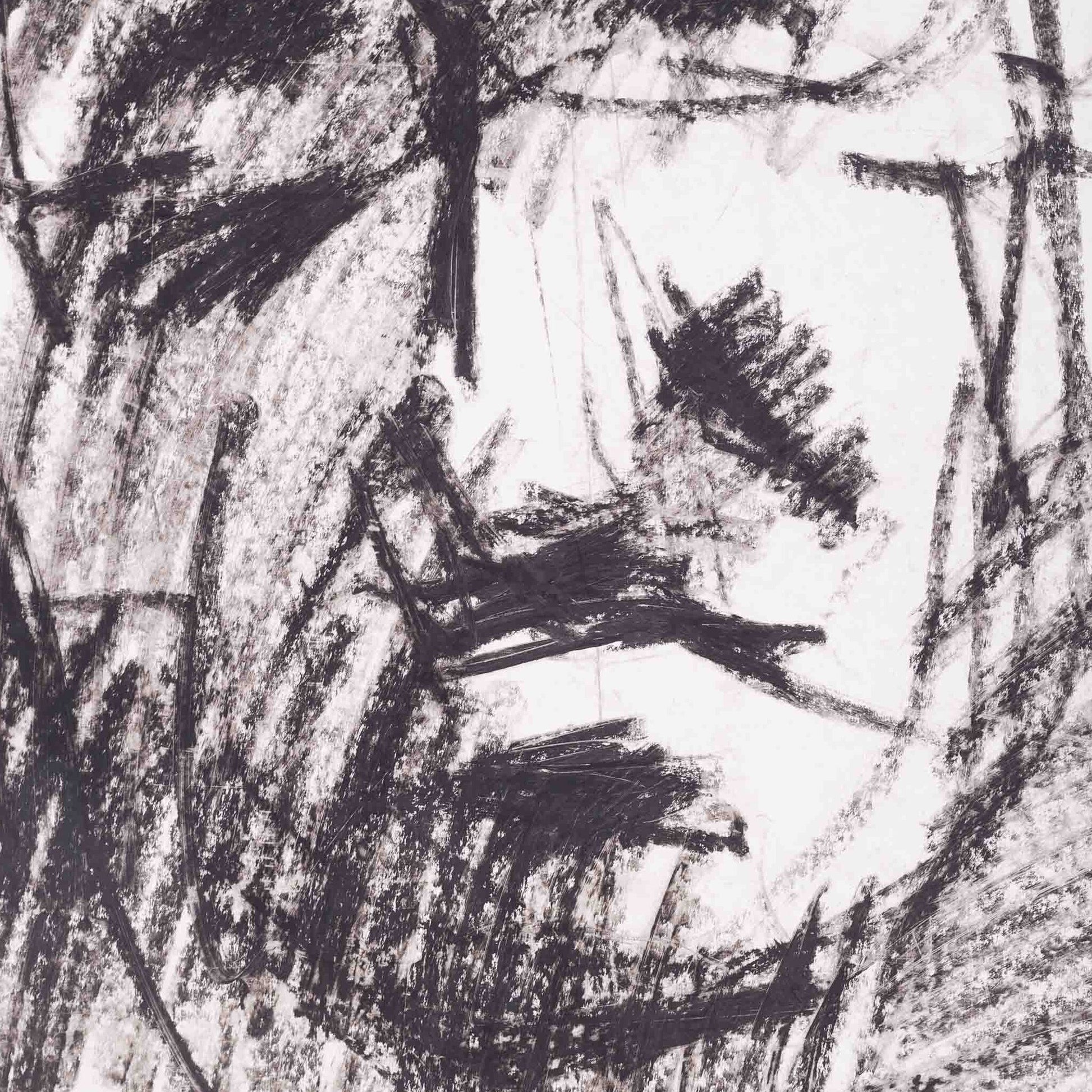 Zes geschetste portretten-6