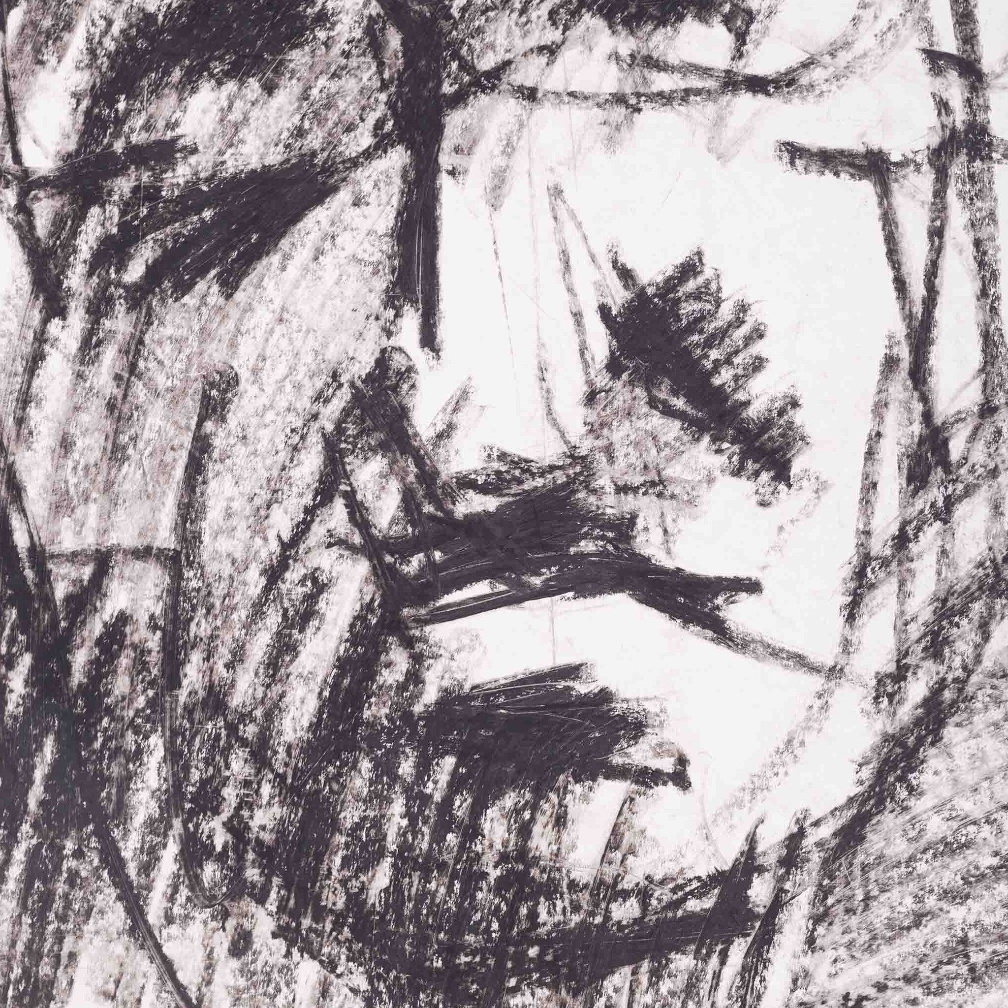 Zes geschetste portretten-zoom-6