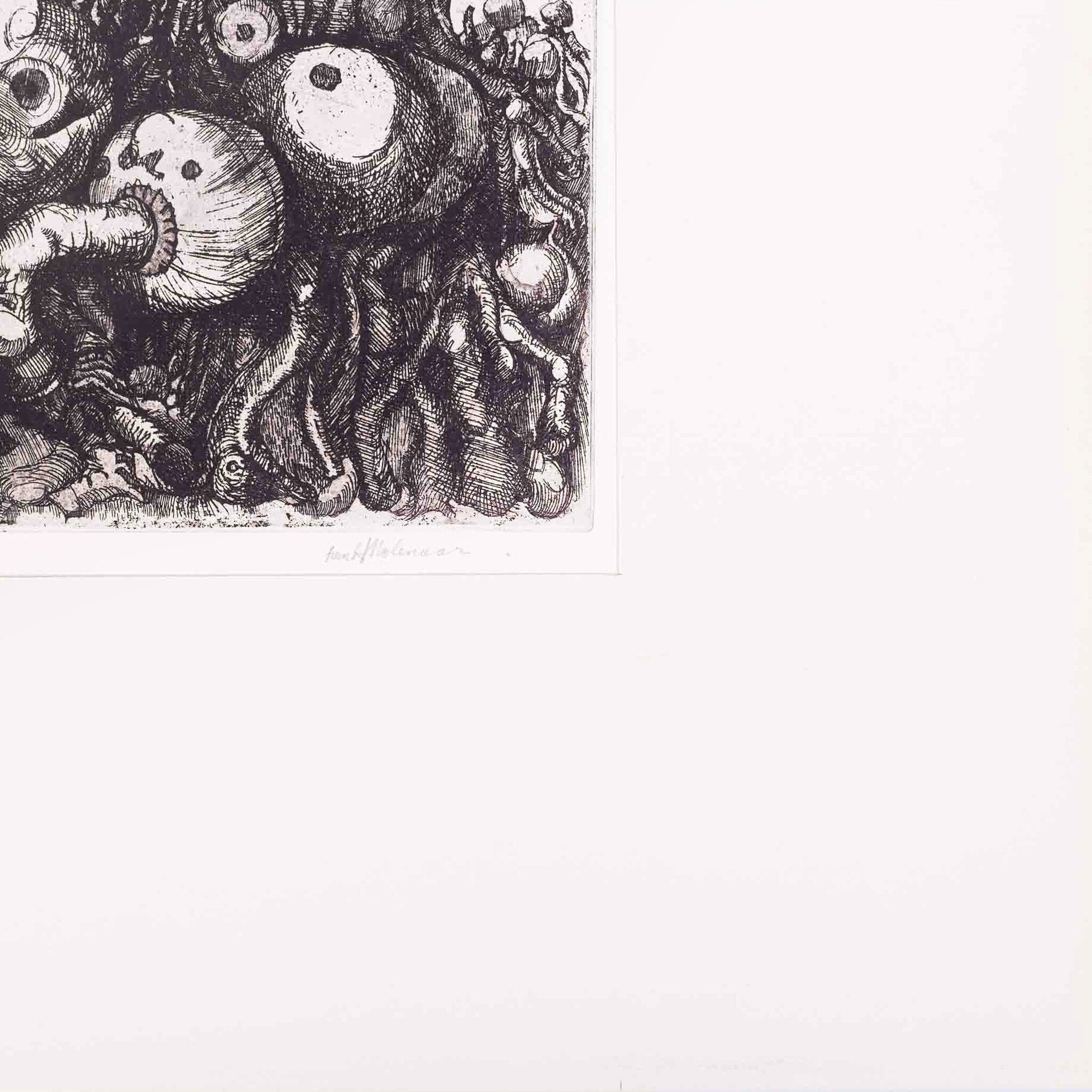 Henk Molenaar, 'Mijn knollentuin'-zoom-3