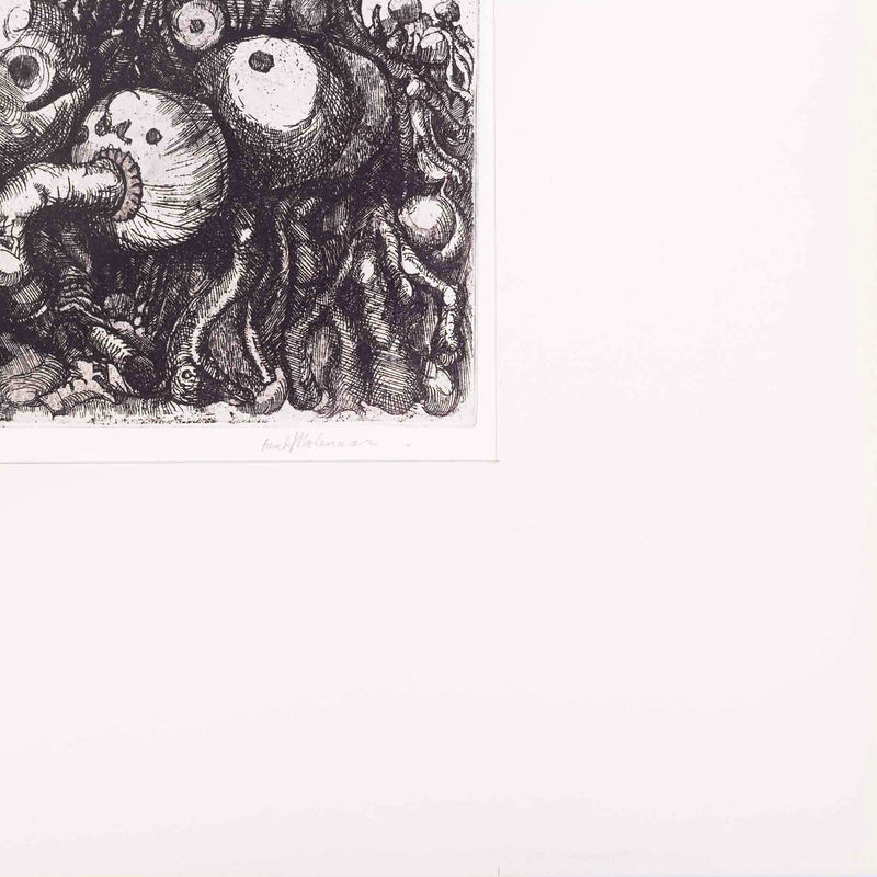 Henk Molenaar, 'Mijn knollentuin'-zoom-