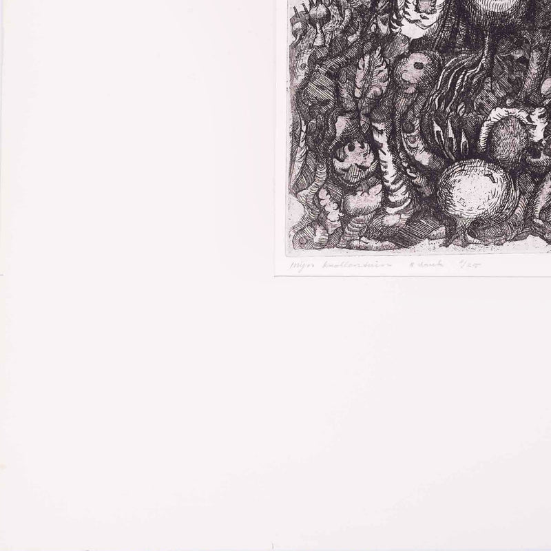 Henk Molenaar, 'Mijn knollentuin'-zoom-