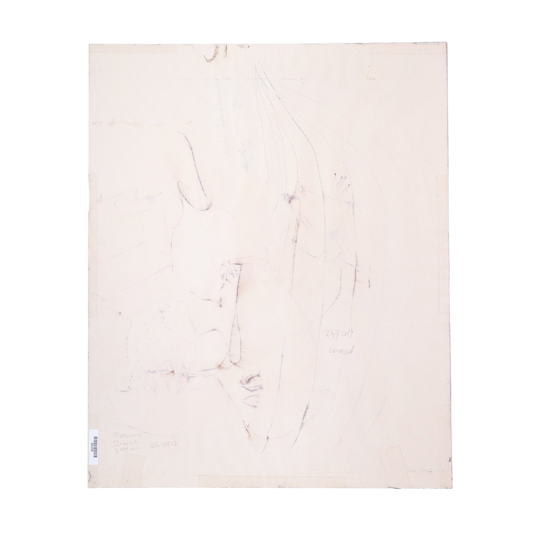 Fanny Mazure, 'Insect'; 1984-zoom-7