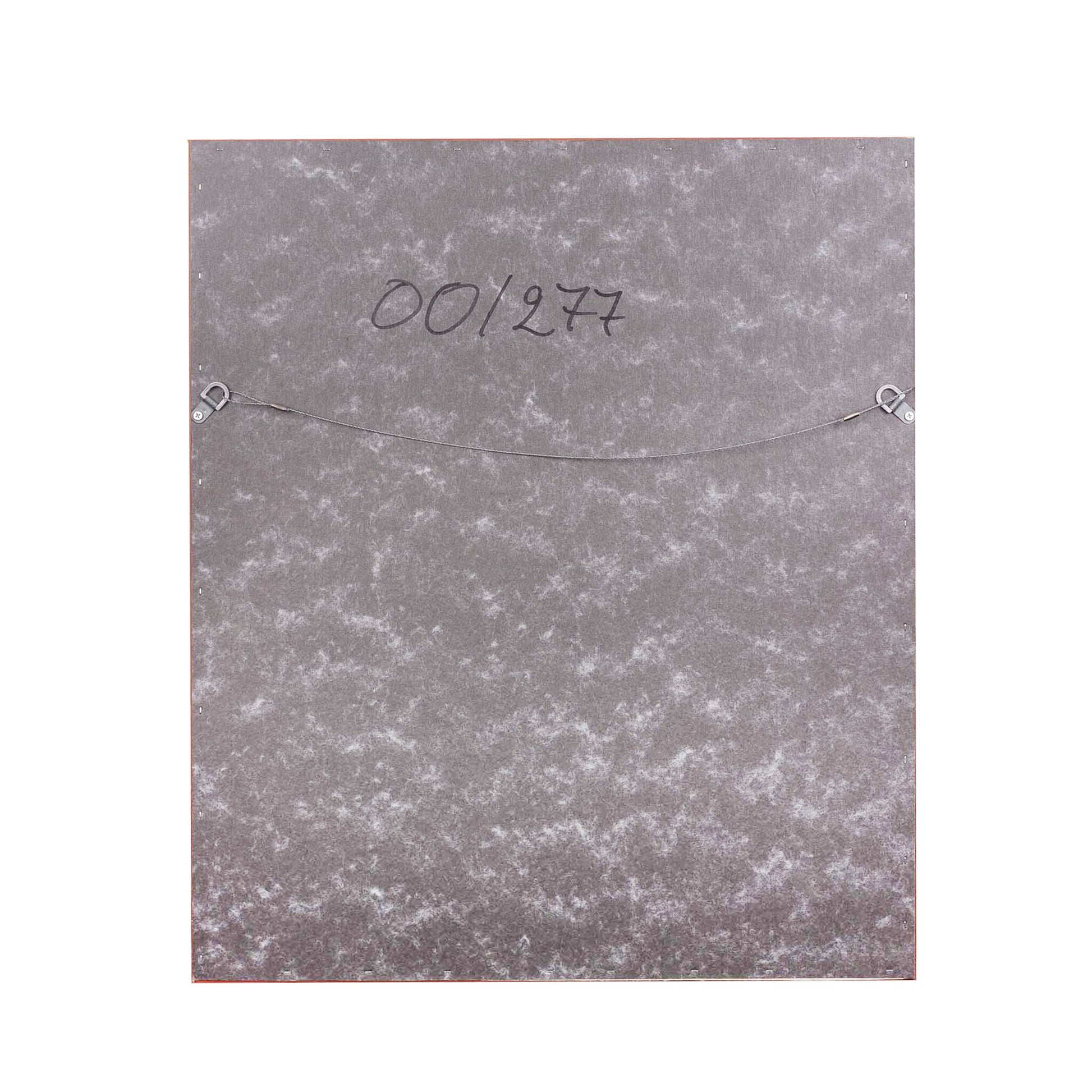 Reinhoud D'Haese, 'Pieuvre'-6