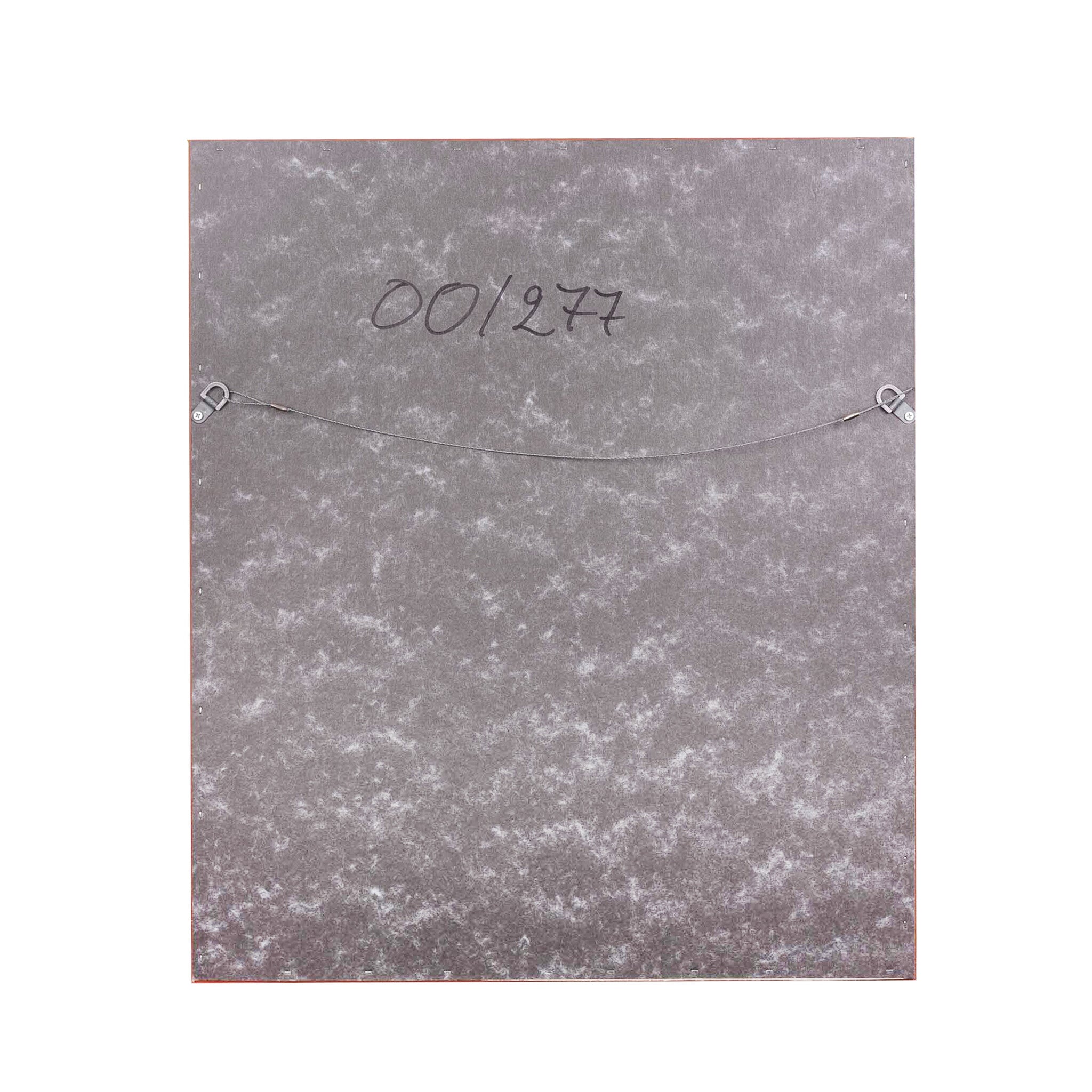 Reinhoud D'Haese, 'Pieuvre'-zoom-6