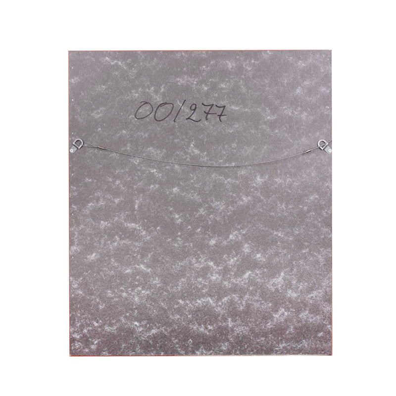 Reinhoud D'Haese, 'Pieuvre'-zoom-