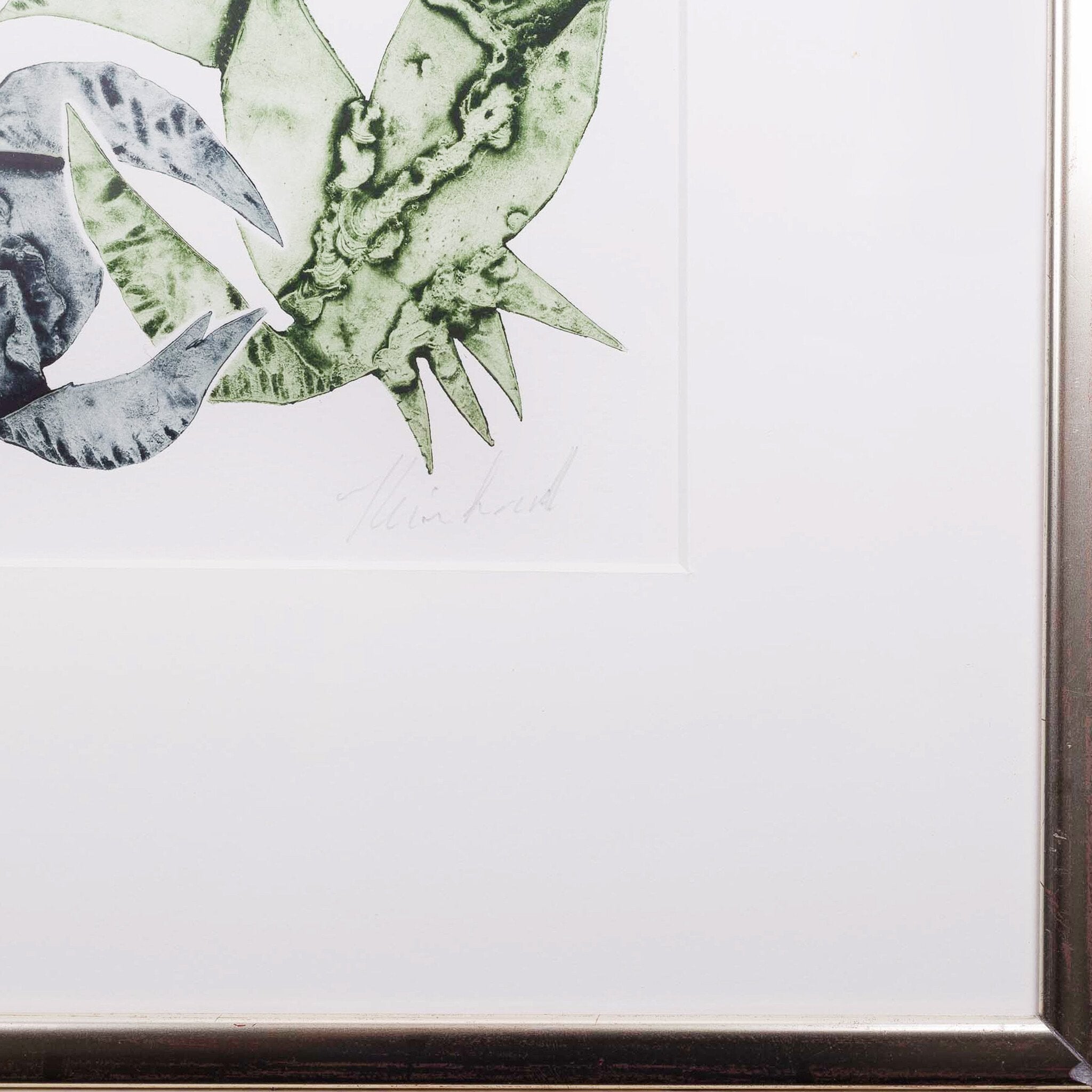 Reinhoud D'Haese, 'Crevettes'