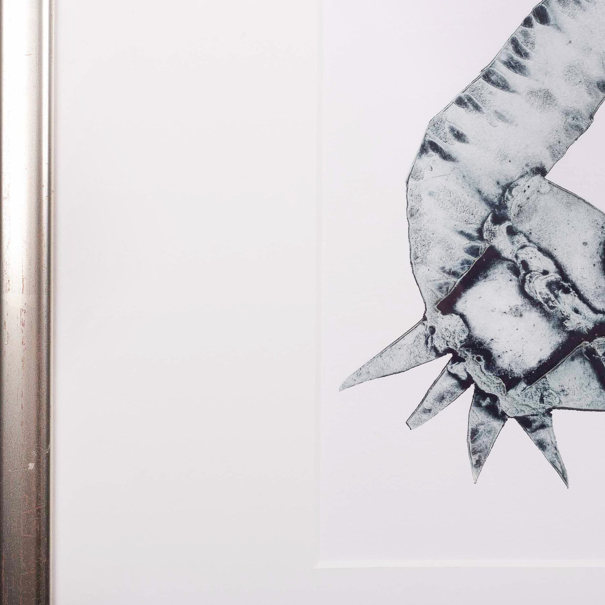 Reinhoud D'Haese, 'Crevettes'-5