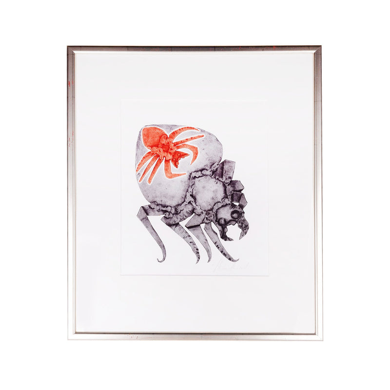 Reinhoud D'Haese, 'Araignées'-zoom-