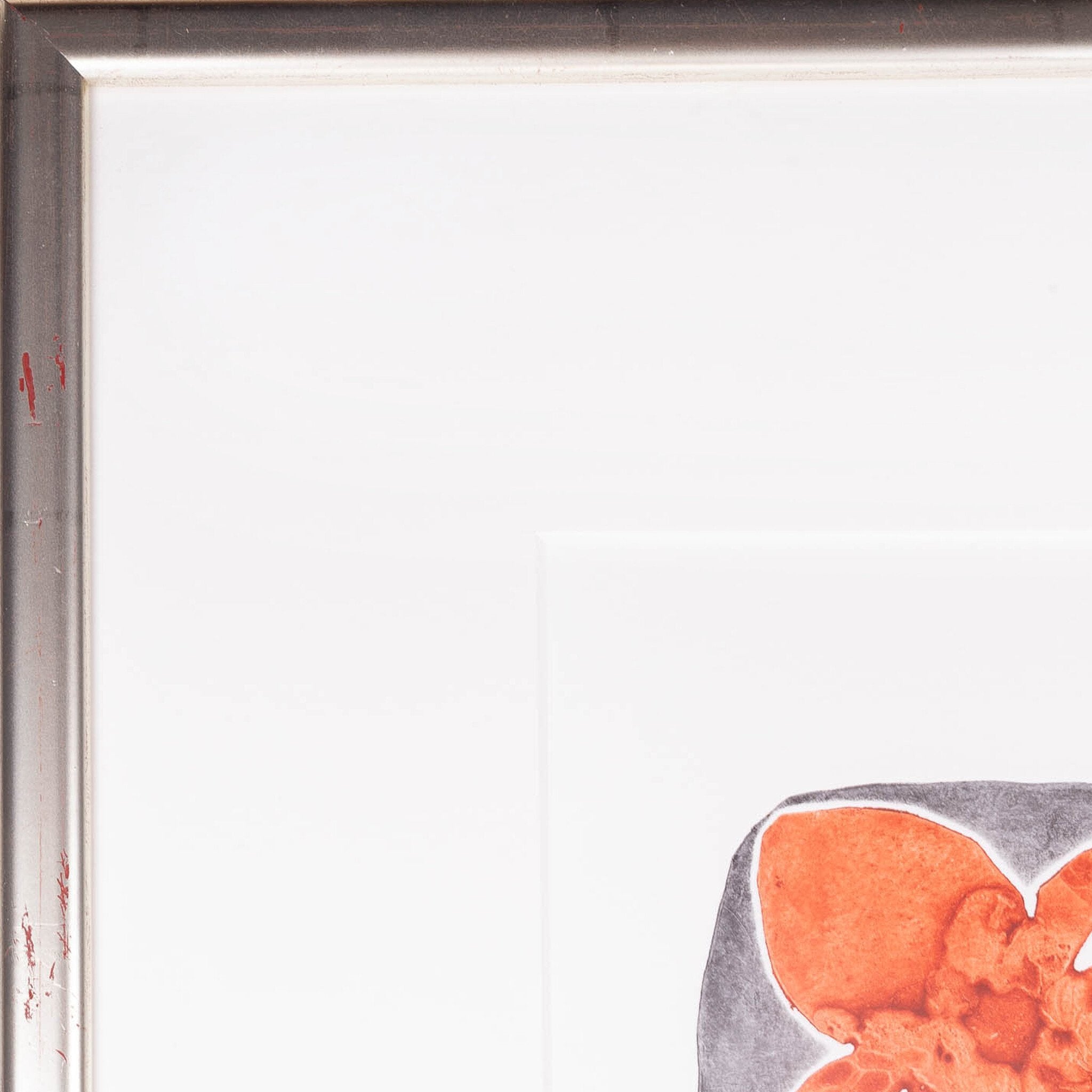 Reinhoud D'Haese, 'Araignées'-zoom-2