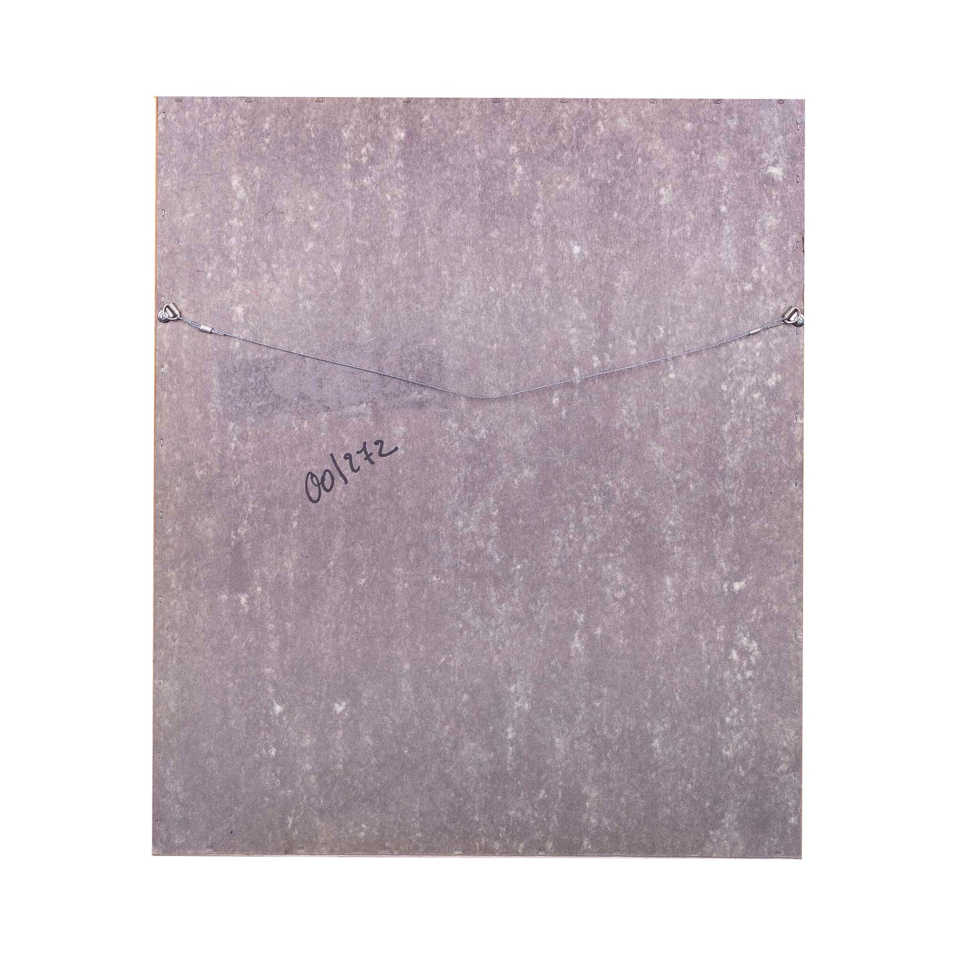 Reinhoud D'Haese, 'Insecte'-5