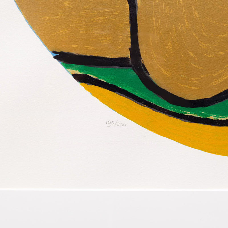 Corneille, 'L'Oiseau present', 1998-zoom-