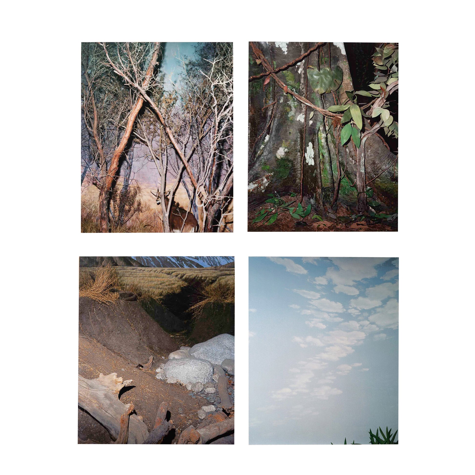 Eva Leitolf, 'Ganz still und stumm (1-4)', 2001-1