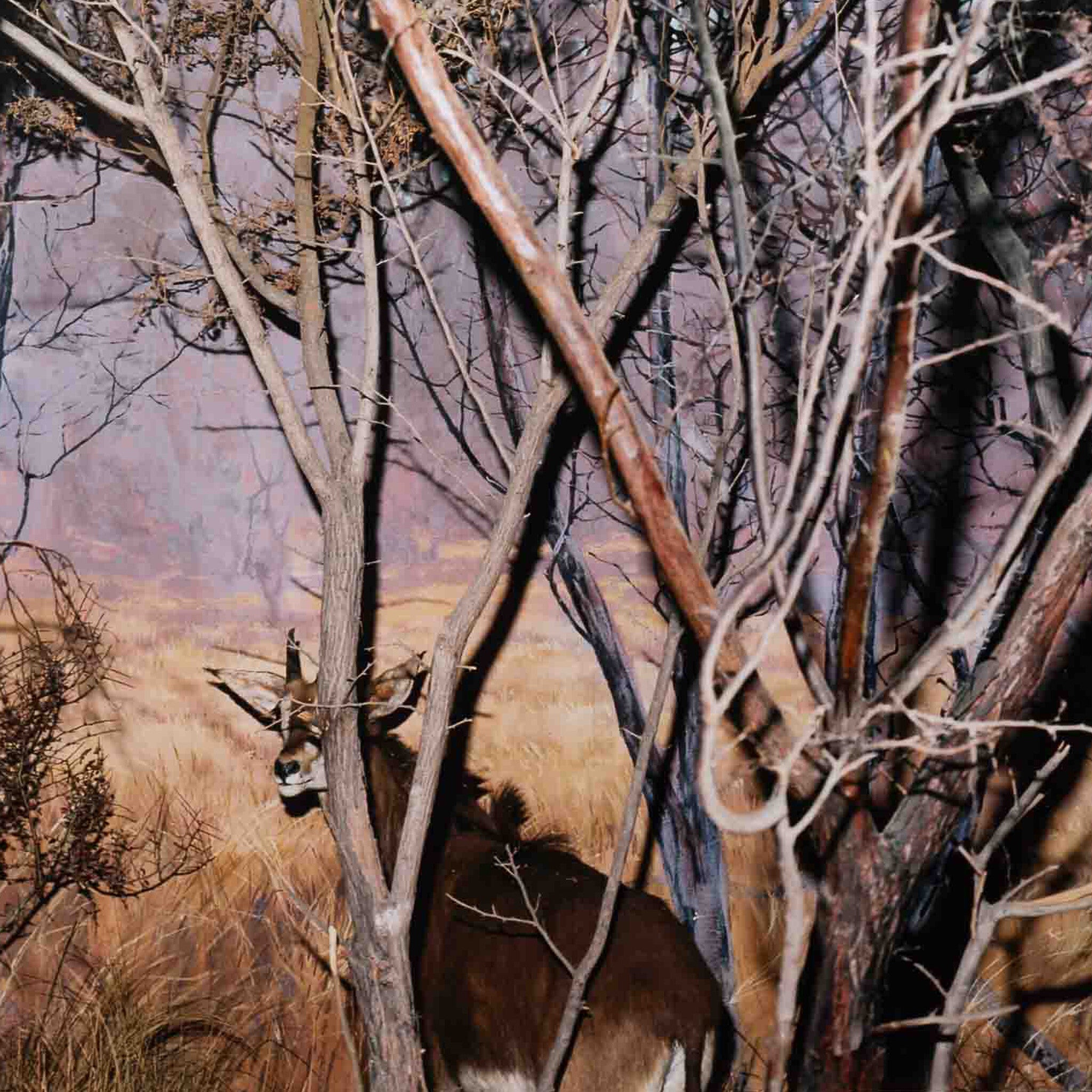 Eva Leitolf, 'Ganz still und stumm (1-4)', 2001-zoom-2