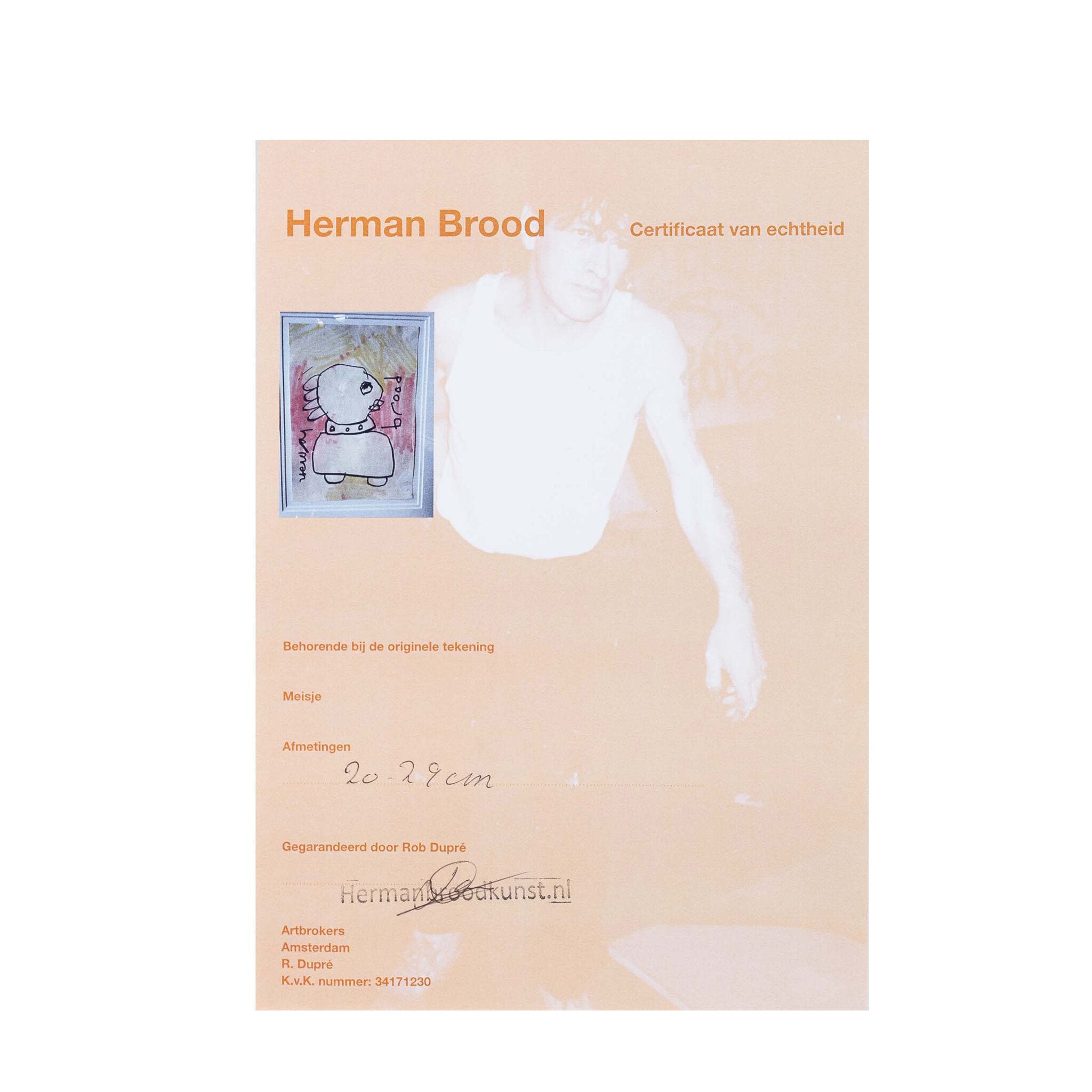 Herman Brood, 'Meisje'-zoom-7