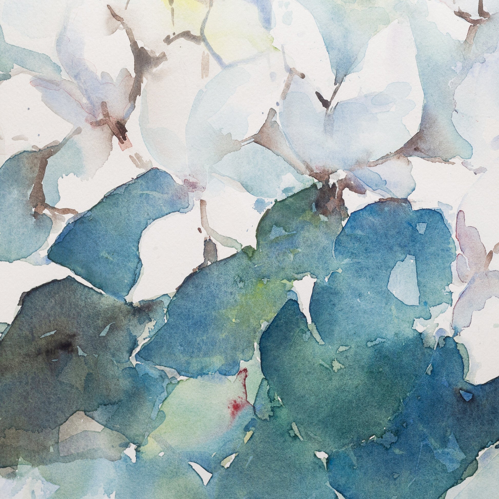 Willy van Haard, 'Witte cyclamen', 1985-2
