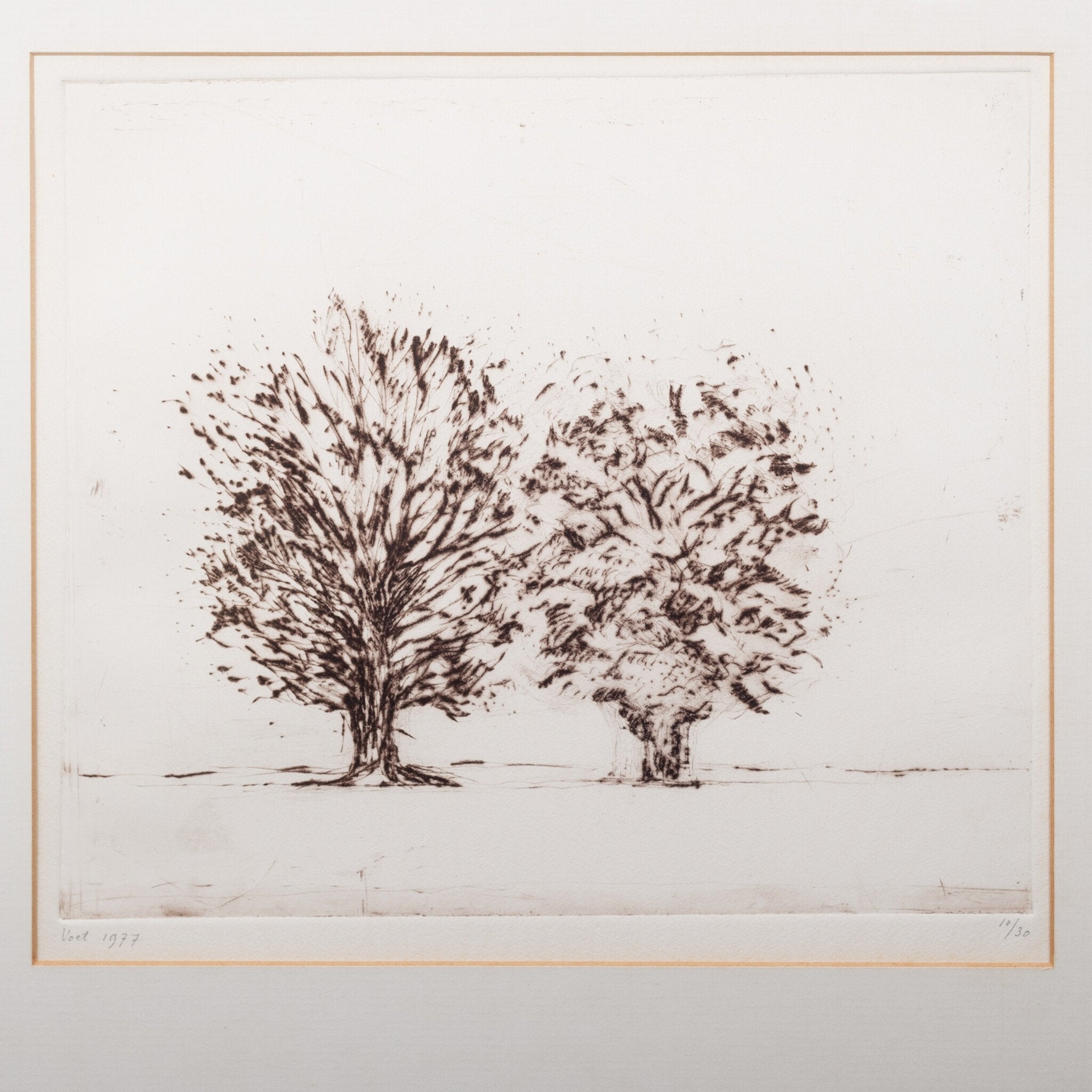 Wilfred Voet, 'Twee bomen', 1977