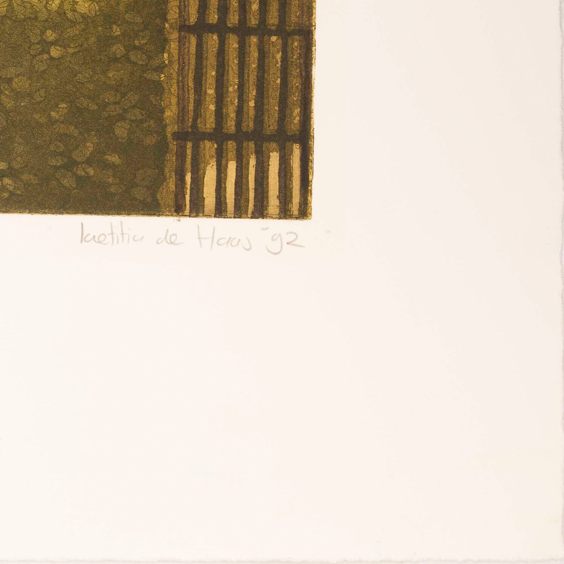 Laetitia de Haas, 'Wilhelminasingel'; 1992-5