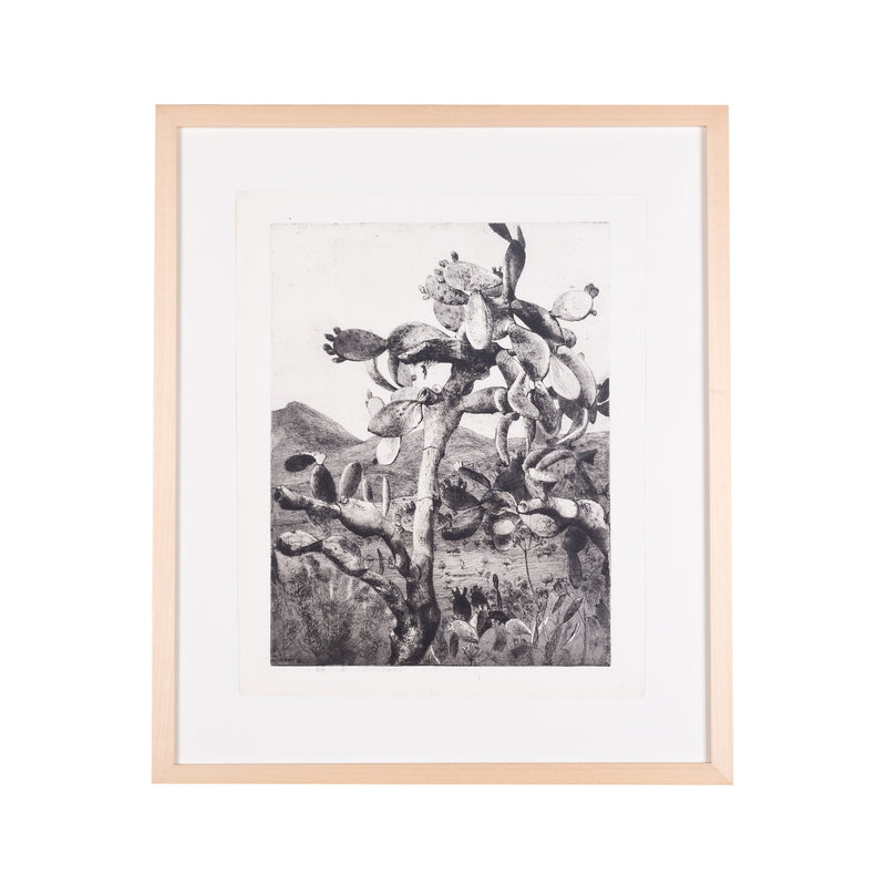 Aat Veldhoen, 'Cactus in landschap op Ibiza', 1960-zoom-