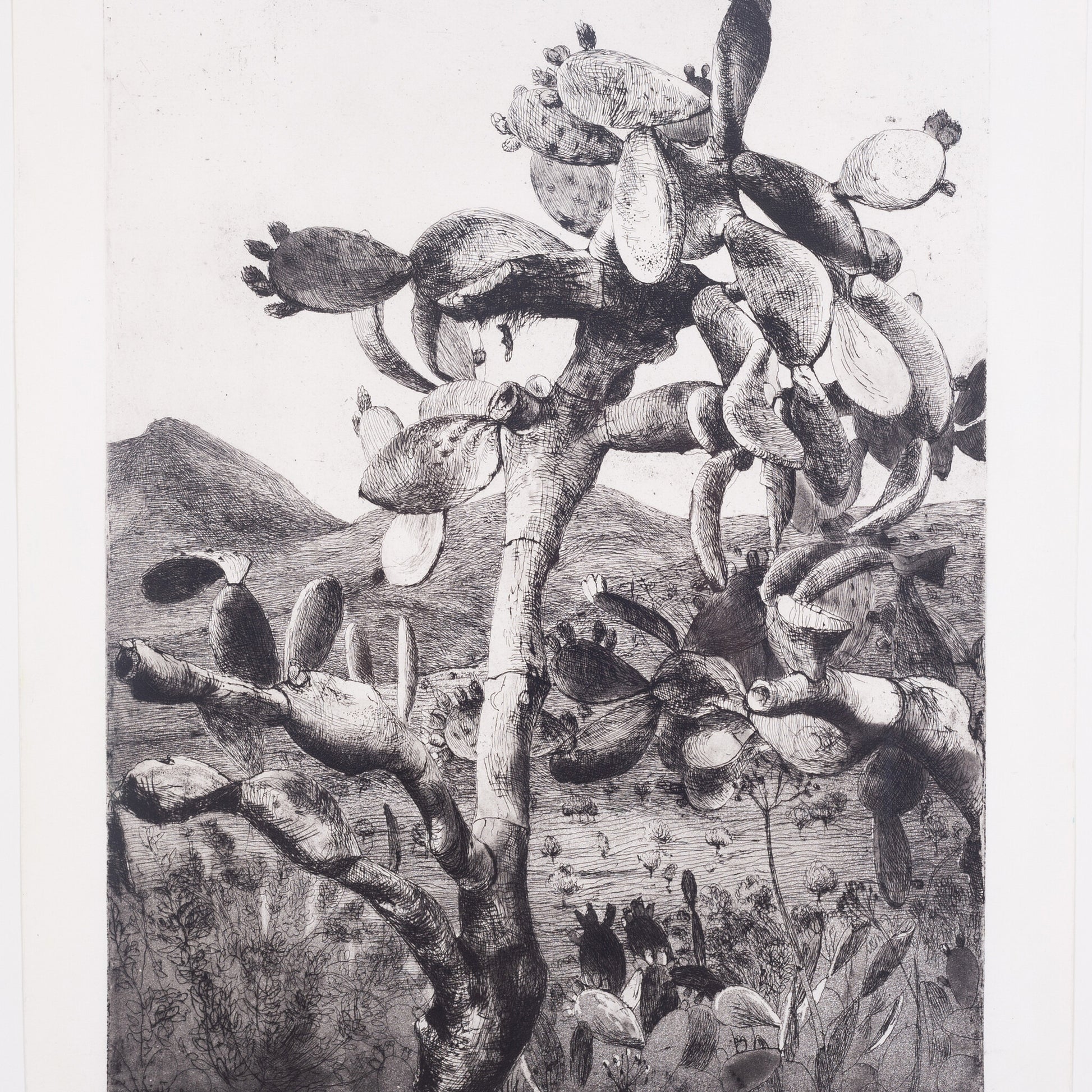 Aat Veldhoen, 'Cactus in landschap op Ibiza', 1960-4