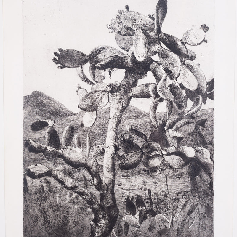 Aat Veldhoen, 'Cactus in landschap op Ibiza', 1960-zoom-