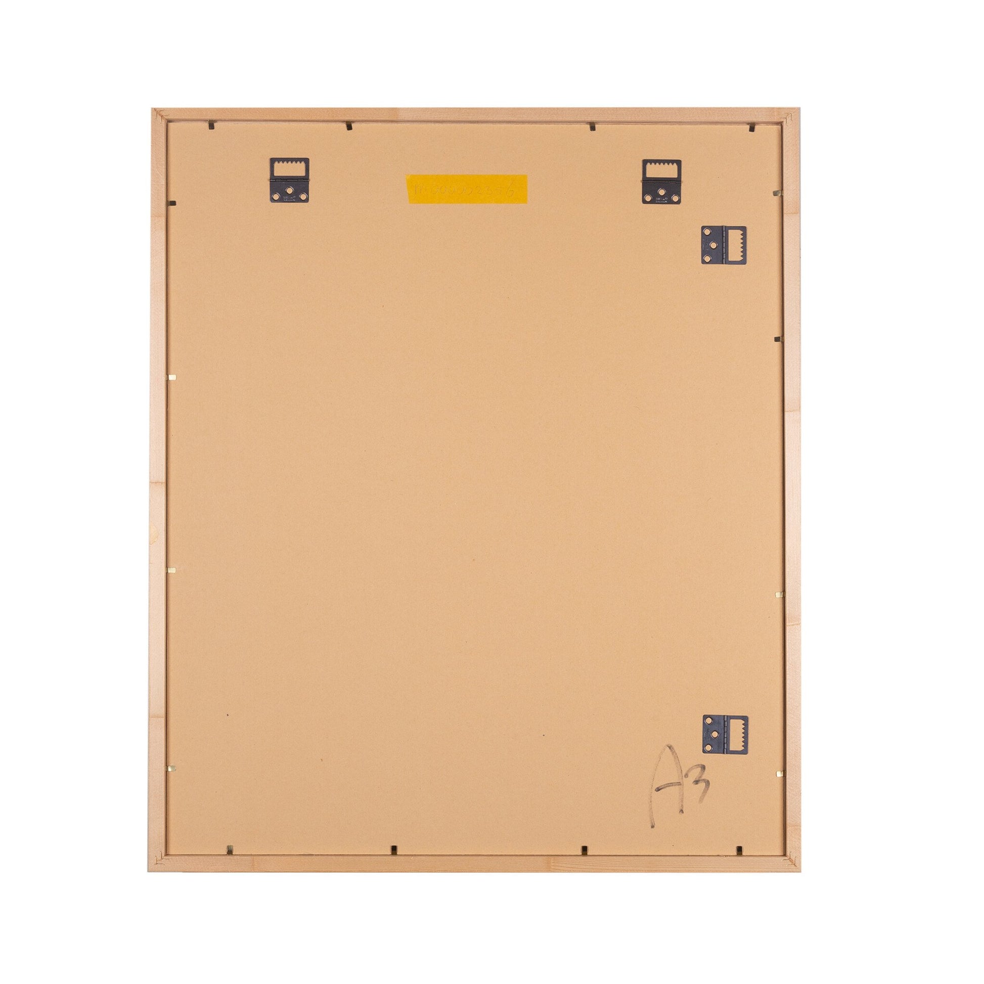 Litho van de mummiekist van Xonsotep-4