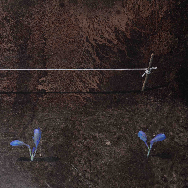 Arthur Stam, 'Tuin'-zoom-