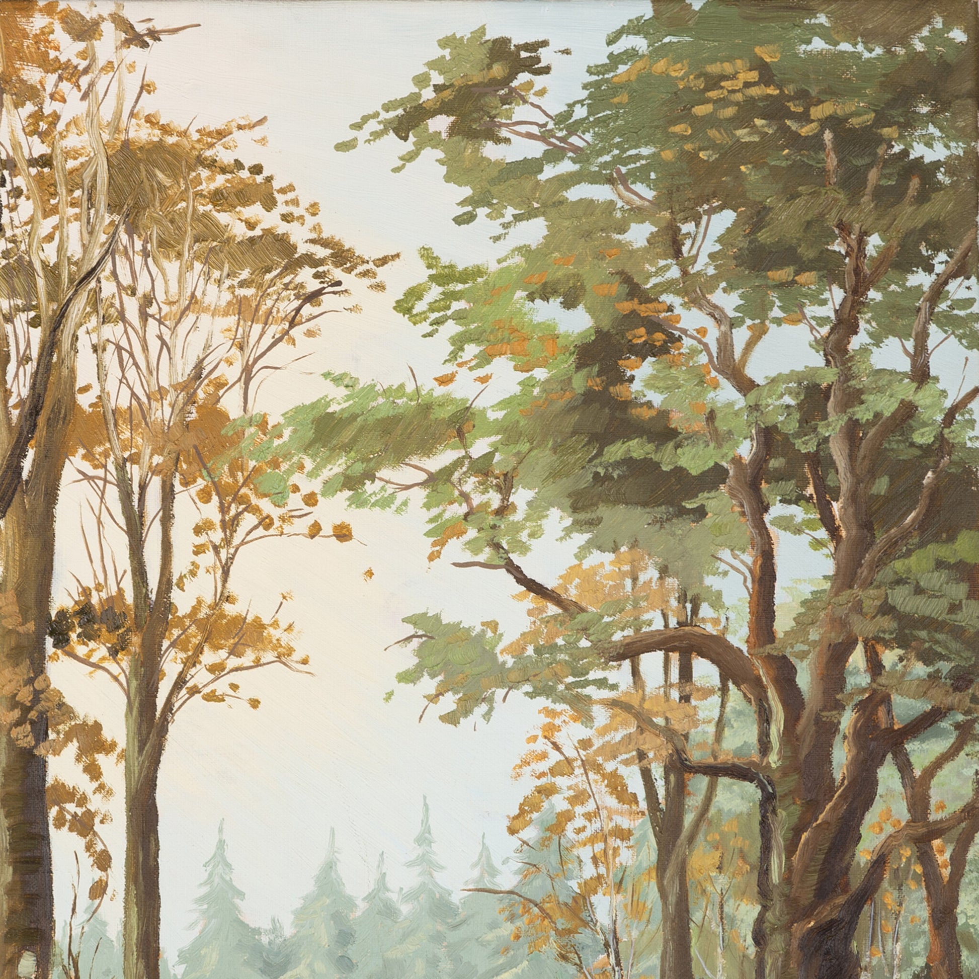 Mulder, 'Zonder titel', 1979-2