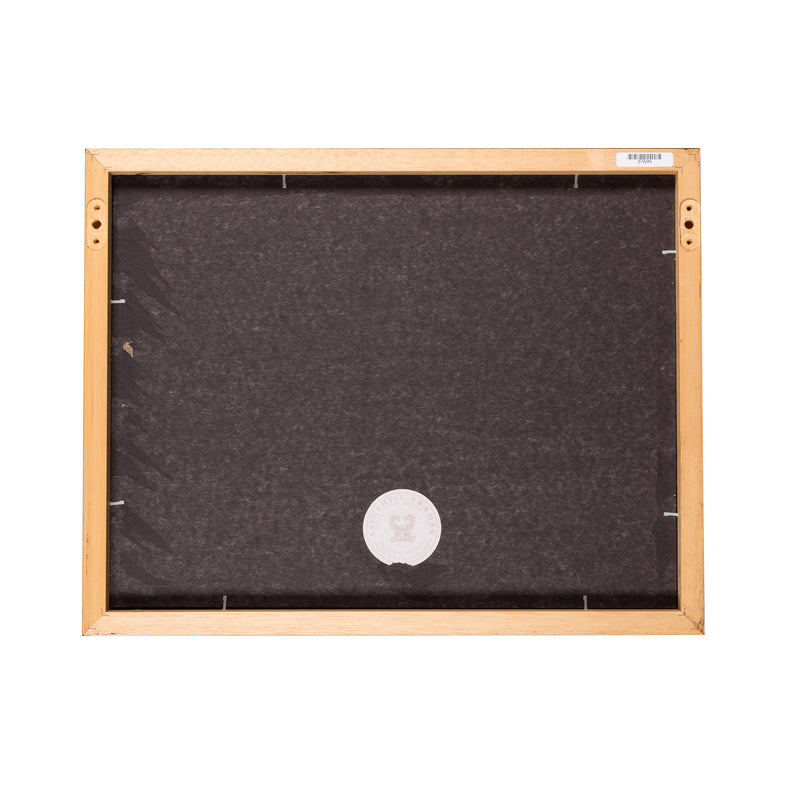 Zwarte houten lijst met museumglas, 43 x 55 cm-zoom-