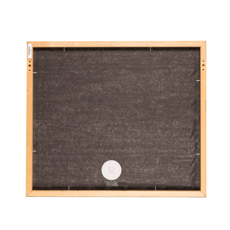 Zwarte houten lijst met museumglas, 54,5 x 63,5 cm-zoom-