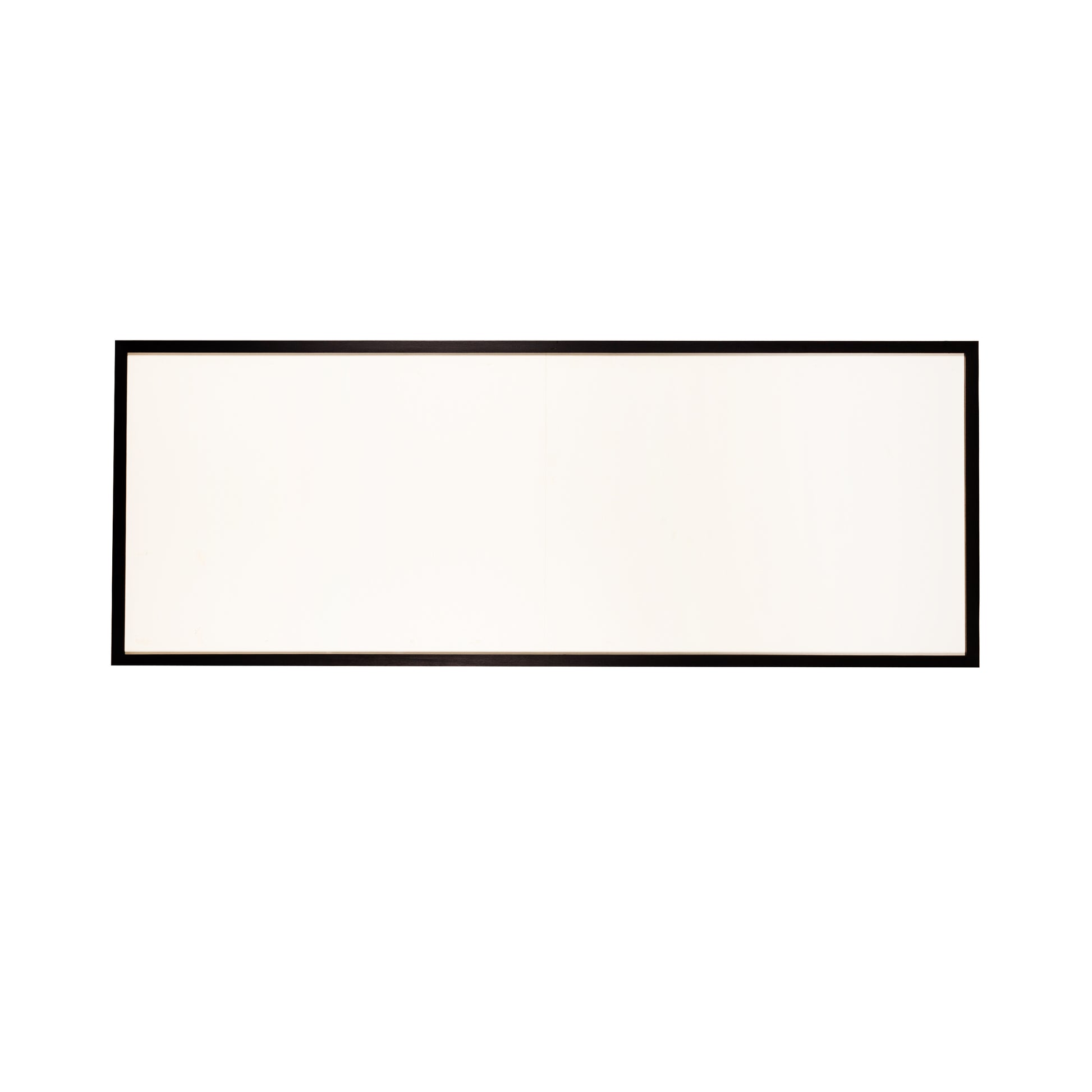 Zwarte houten lijst met museumglas, 199 x 79 cm-1