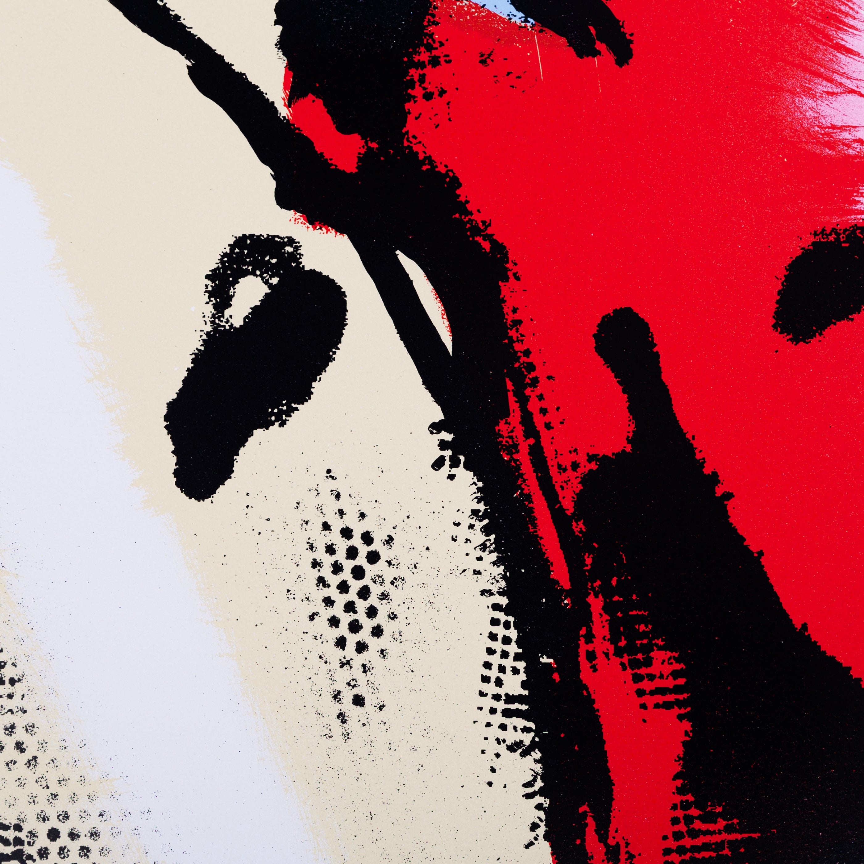 Herman Brood, 'Amazone'-zoom-4