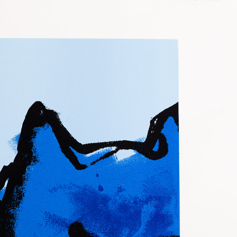 Herman Brood, 'Amazone'-zoom-