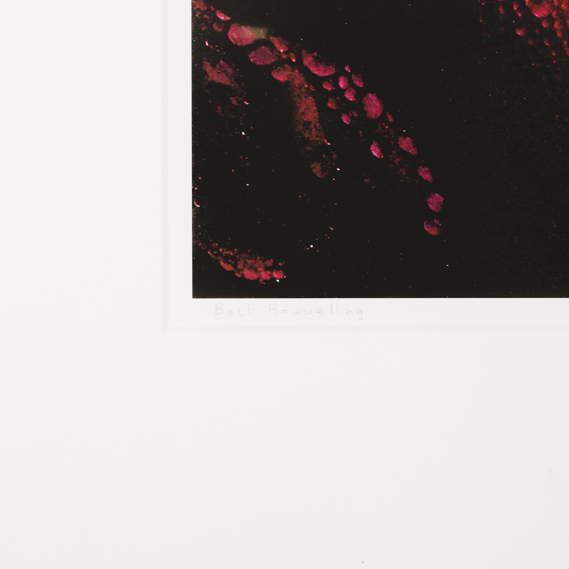 Bert Houweling, 'Roos 17'; 2002-3