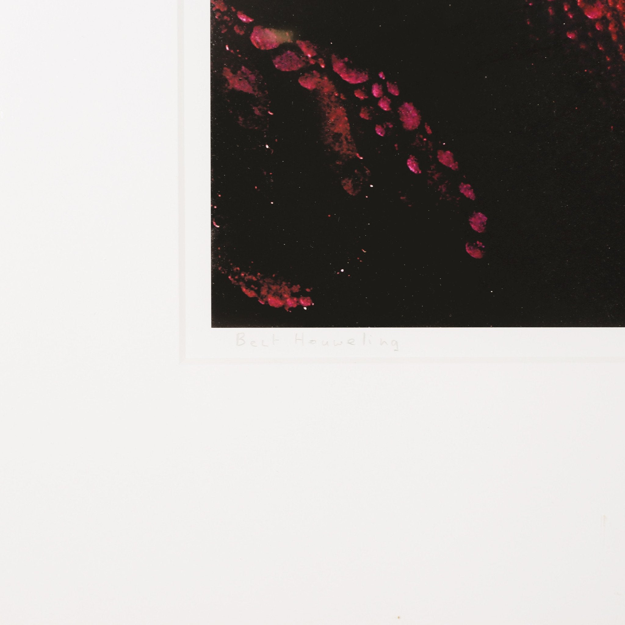 Bert Houweling, 'Roos 17'; 2002-zoom-3