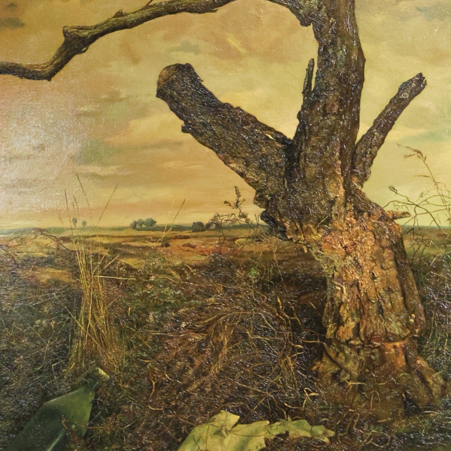 H. Jan Schouten, 'Boomstronk', 1948-1952