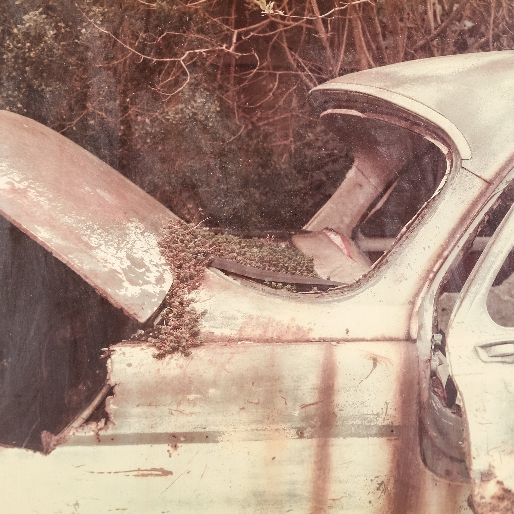 M. Koppen, 'Aronde'; 1985-zoom-2