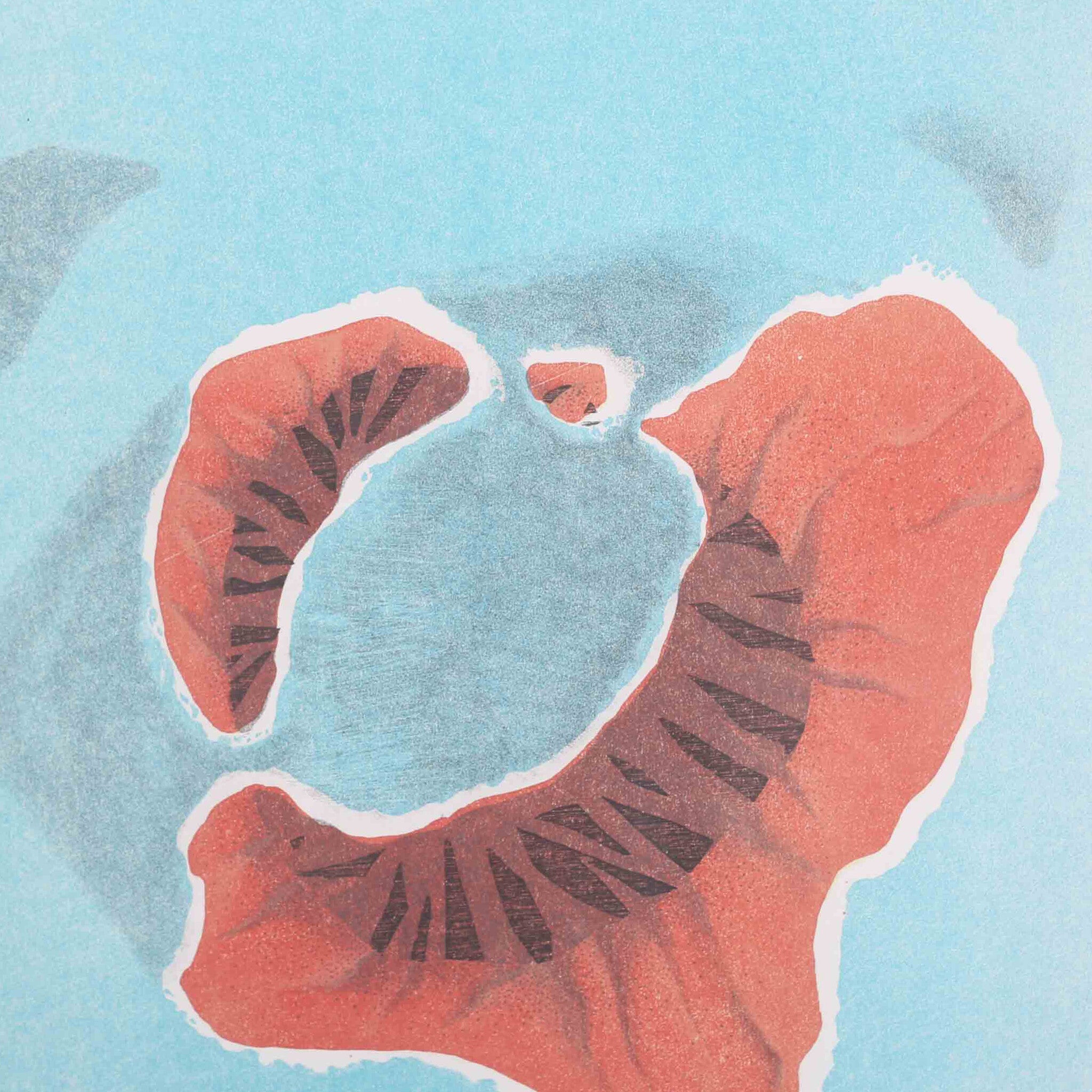 S. de Nooyer, 'Atlantida'-zoom-2