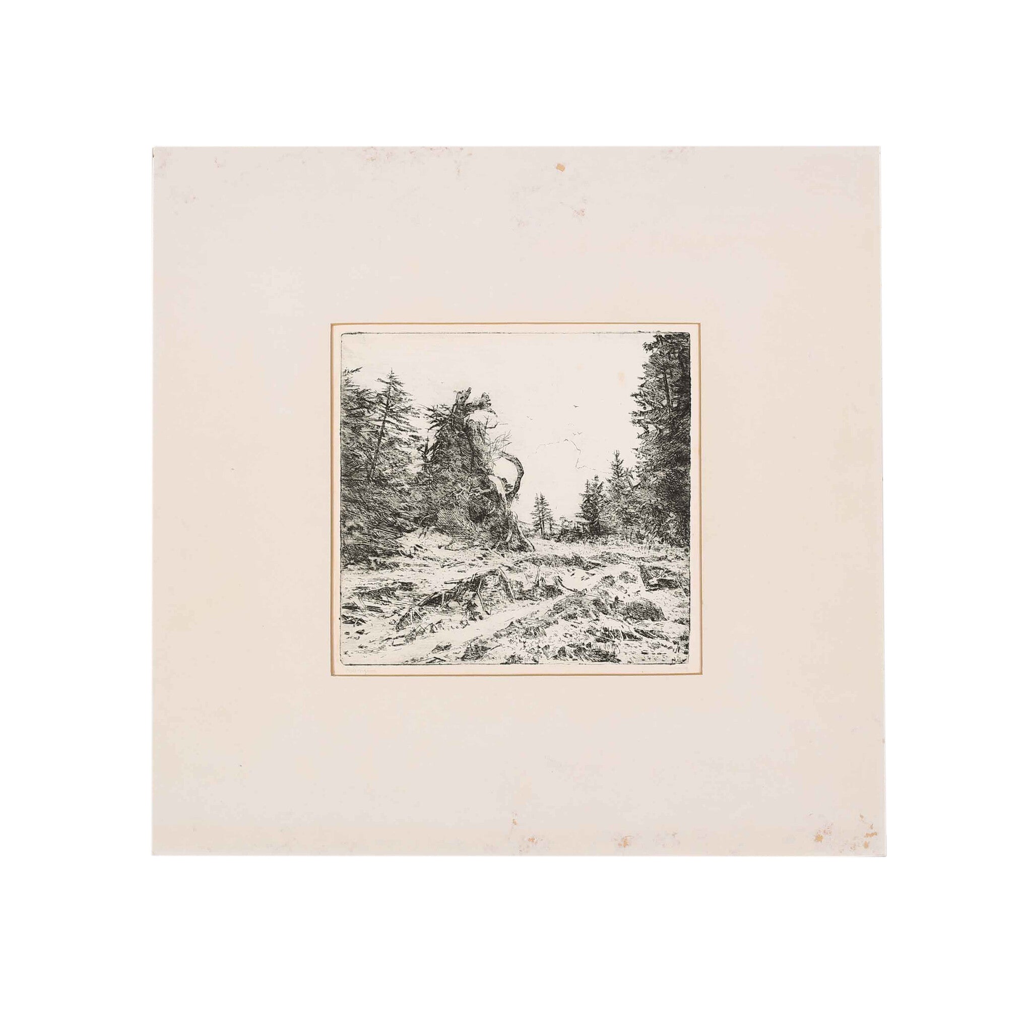 Herman van Tongeren, 'Grote Boomstronk'; 1969-zoom-1