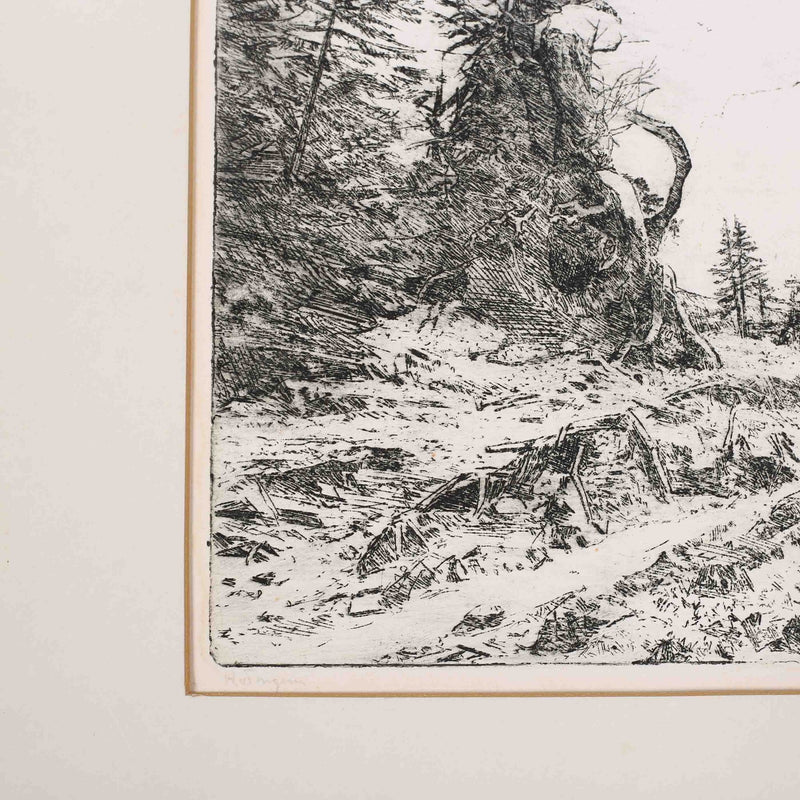 Herman van Tongeren, 'Grote Boomstronk'; 1969-zoom-